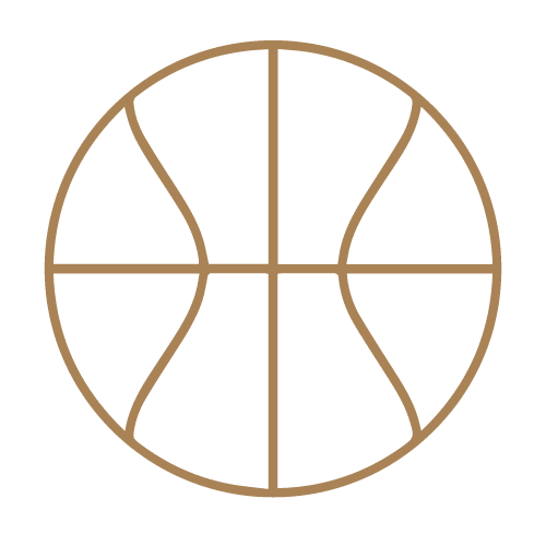 Terrain de basket