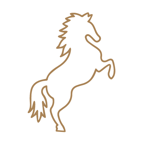 Équitation