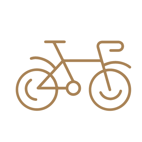 VTT