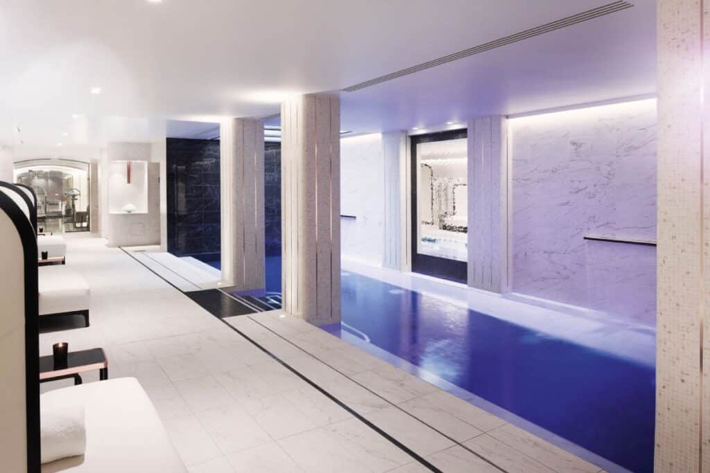 narcisse blanc piscine