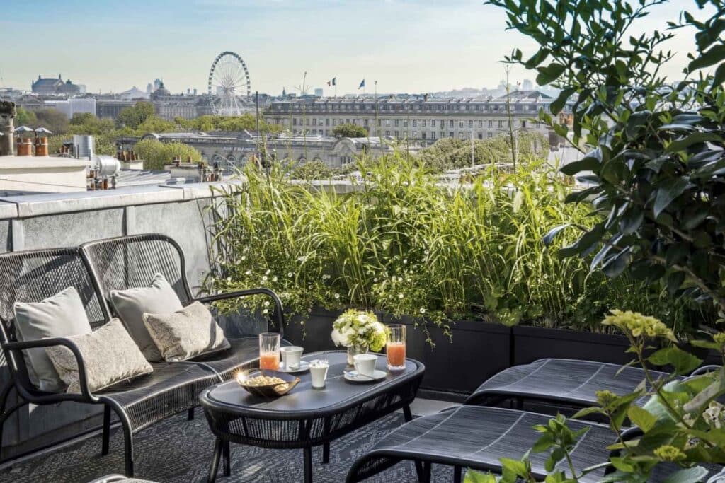 narcisse blanc terrasse