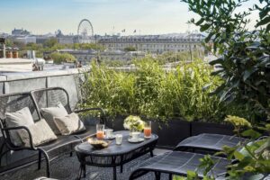 narcisse blanc terrasse