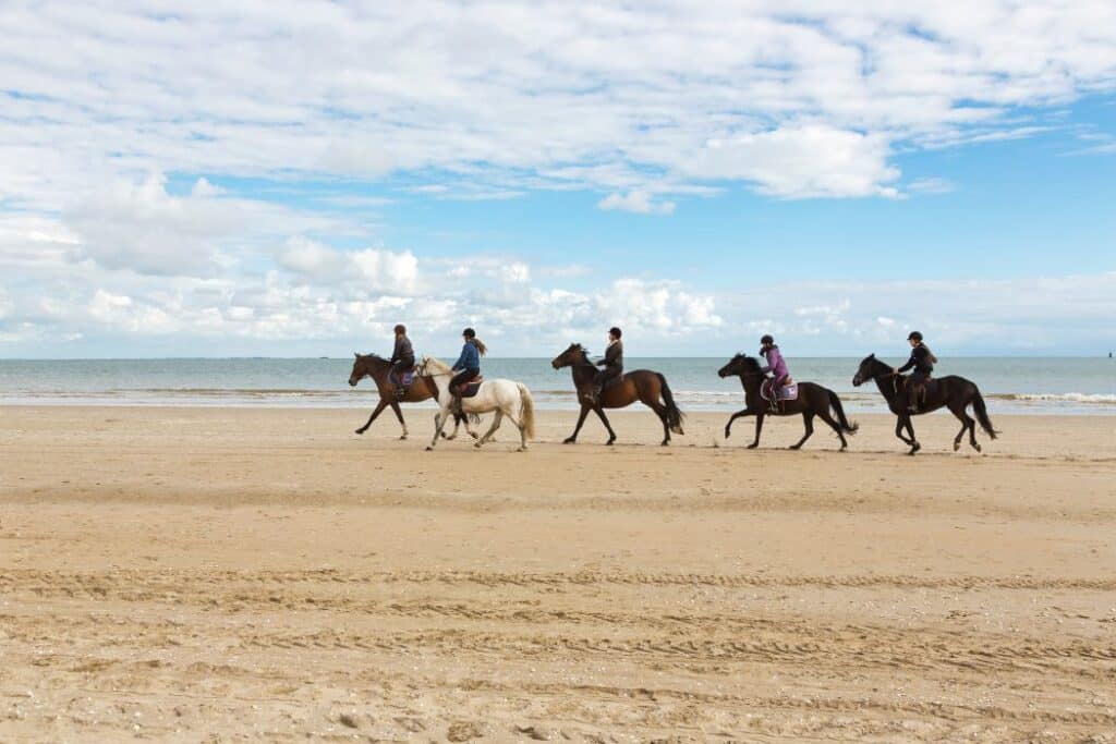 barriere la baule cheval