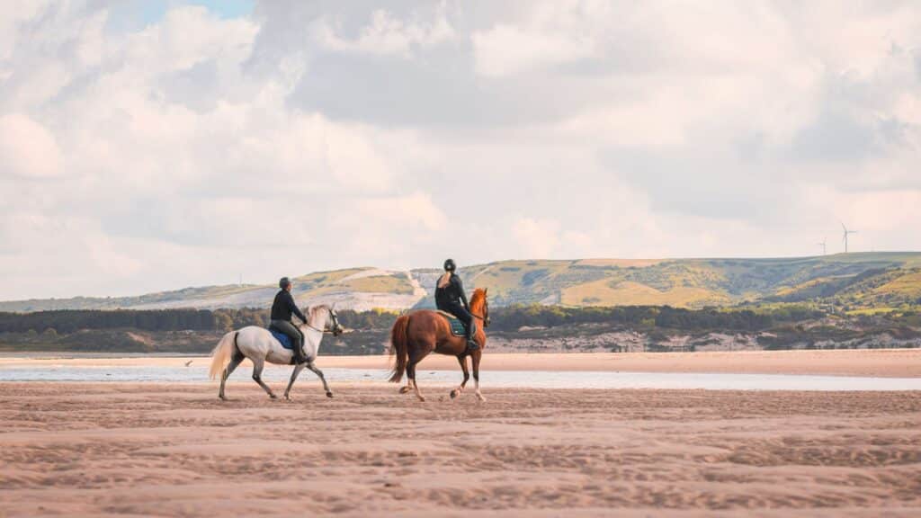 westminster equitation plage